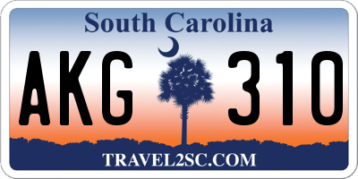 SC license plate AKG310
