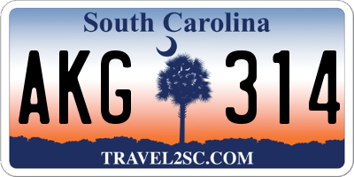 SC license plate AKG314