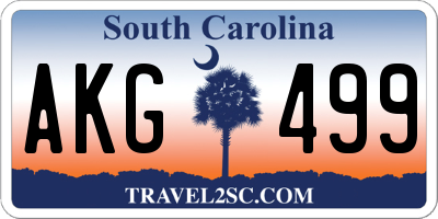 SC license plate AKG499