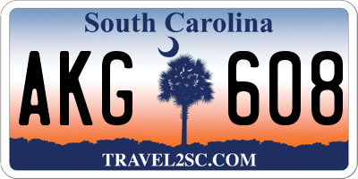 SC license plate AKG608