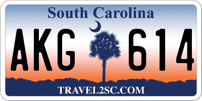 SC license plate AKG614