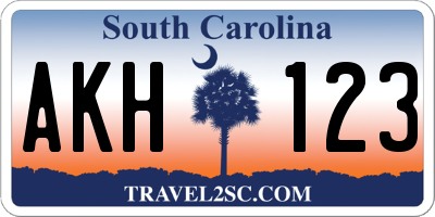 SC license plate AKH123