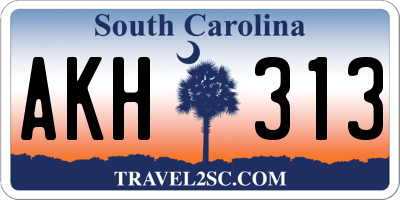 SC license plate AKH313