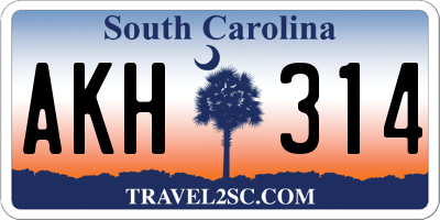 SC license plate AKH314