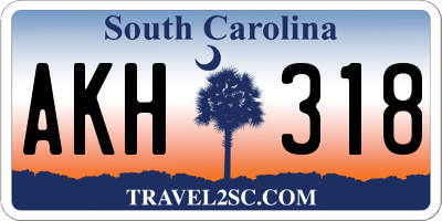 SC license plate AKH318