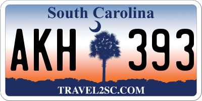 SC license plate AKH393