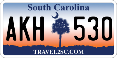 SC license plate AKH530