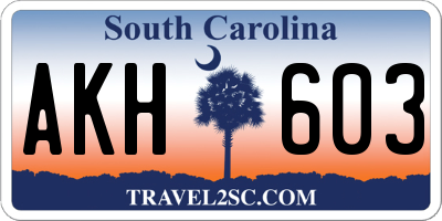 SC license plate AKH603