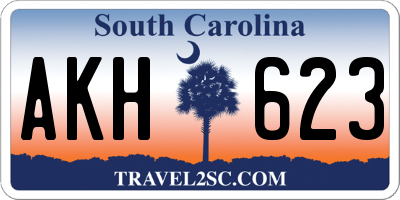 SC license plate AKH623