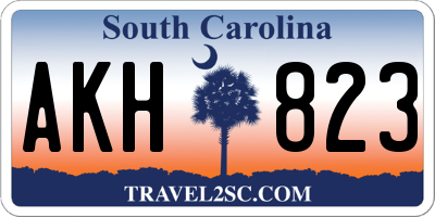 SC license plate AKH823
