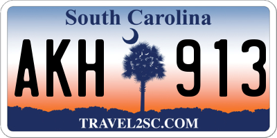 SC license plate AKH913