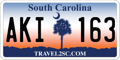 SC license plate AKI163