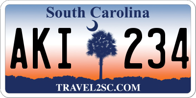 SC license plate AKI234