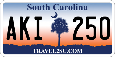 SC license plate AKI250