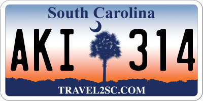 SC license plate AKI314