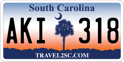 SC license plate AKI318