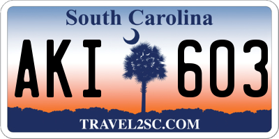 SC license plate AKI603