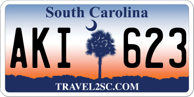 SC license plate AKI623
