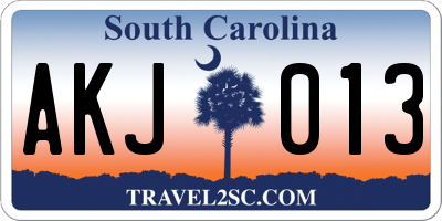 SC license plate AKJ013