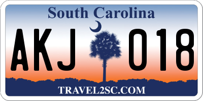 SC license plate AKJ018