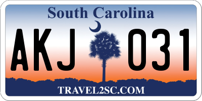 SC license plate AKJ031
