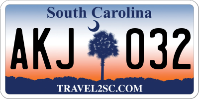 SC license plate AKJ032