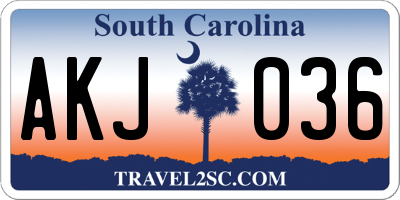 SC license plate AKJ036