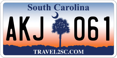 SC license plate AKJ061