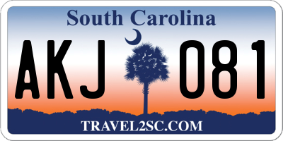 SC license plate AKJ081