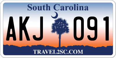 SC license plate AKJ091