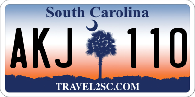 SC license plate AKJ110