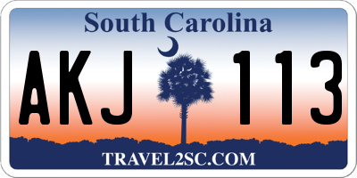 SC license plate AKJ113