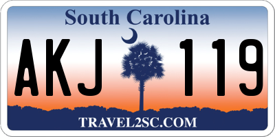 SC license plate AKJ119