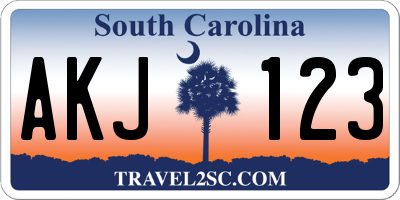 SC license plate AKJ123