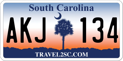 SC license plate AKJ134
