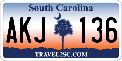 SC license plate AKJ136