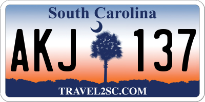 SC license plate AKJ137