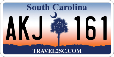 SC license plate AKJ161