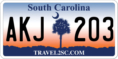 SC license plate AKJ203