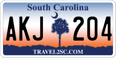 SC license plate AKJ204