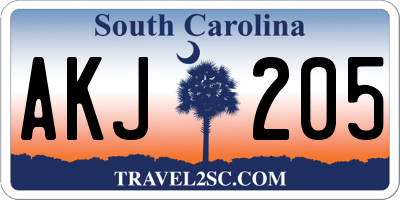 SC license plate AKJ205