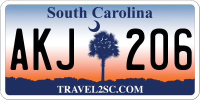 SC license plate AKJ206