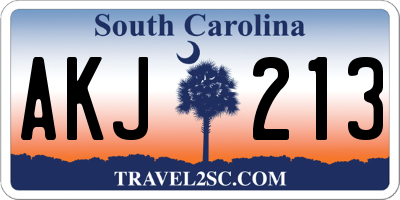 SC license plate AKJ213