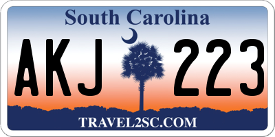 SC license plate AKJ223