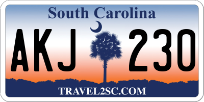 SC license plate AKJ230