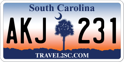 SC license plate AKJ231