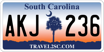 SC license plate AKJ236
