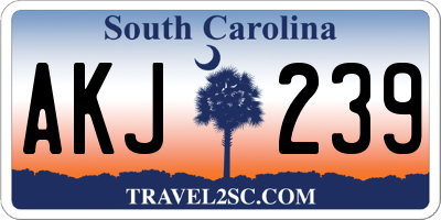 SC license plate AKJ239
