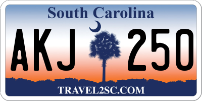 SC license plate AKJ250
