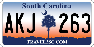 SC license plate AKJ263